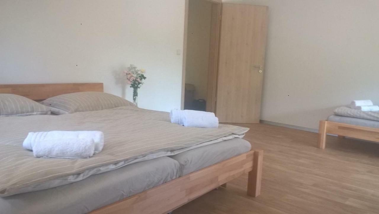 Apartman Nad Terasou Daire Říčky Dış mekan fotoğraf